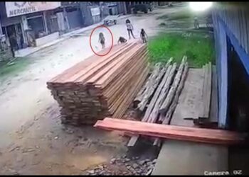 Criança de 3 anos morre ao ser esmagada por pilha de tábuas enquanto brincava na rua