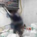 Homem morre eletrocutado ao tentar furtar loja na Cachoeirinha