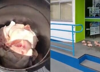 VÍDEO: Homem se revolta com falta de energia há mais de 24 horas e joga frangos estragados em frente a Amazonas Energia