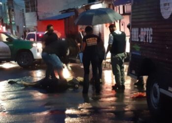 Suposto assaltante é morto a tiros por ‘justiceiro’, no São José