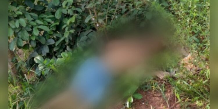 Corpo de jovem é encontrado com sinais de tortura, em mata no Iranduba