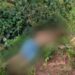 Corpo de jovem é encontrado com sinais de tortura, em mata no Iranduba
