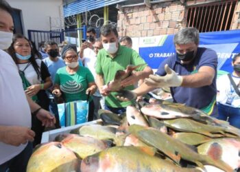 Na semana do Natal, Wilson Lima entrega 20 toneladas de pescado a 8 mil famílias de Manaus