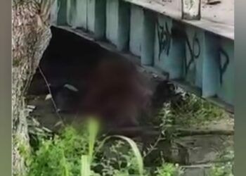 VÍDEO: Casal é flagrado fazendo sexo em baixo de ponte, na zona Norte de Manaus