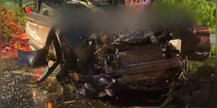 VÍDEO: Em grave acidente, carro de luxo derruba árvore e capota na avenida Efigênio Sales