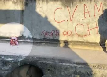 Cabeça humana é encontrada dentro de sacola em rip rap no Tarumã