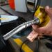 Petrobras sobe preço da gasolina e do diesel a partir de quarta-feira (12)