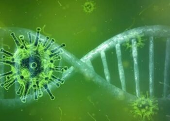 Cientistas detectam nova variante do novo coronavírus om 46 mutações na França