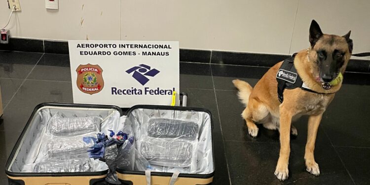Mulher é presa em Manaus ao tentar embarcar com cocaína com destino a Portugal