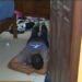 Família é feita refém durante roubo planejado por ex-inquilina, na zona Oeste de Manaus
