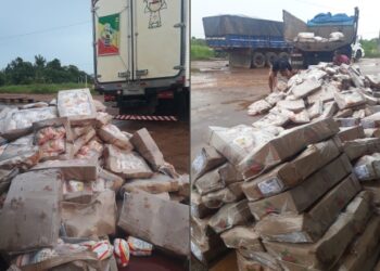 Mais de 5 toneladas de frango irregular são apreendidas no Amazonas