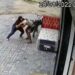 Vendedora reage a assalto a loja, luta e desarma bandido, que leva a pior