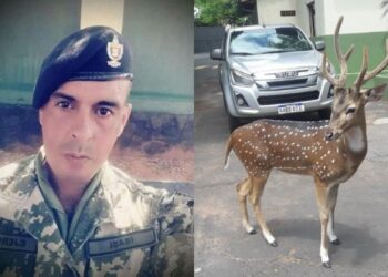 Sargento de infantaria morre ao ser atacado por cervo em residência presidencial do Paraguai