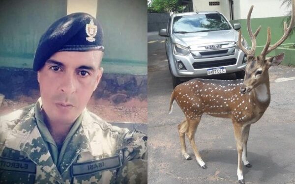 Sargento de infantaria morre ao ser atacado por cervo em residência presidencial do Paraguai