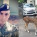 Sargento de infantaria morre ao ser atacado por cervo em residência presidencial do Paraguai