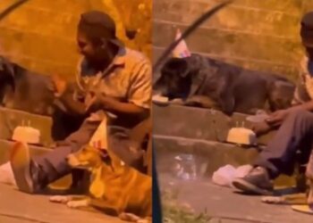 Em vídeo emocionante, morador de rua é flagrado cantando parabéns e dividindo pedaço de bolo com cachorros