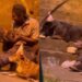 Em vídeo emocionante, morador de rua é flagrado cantando parabéns e dividindo pedaço de bolo com cachorros