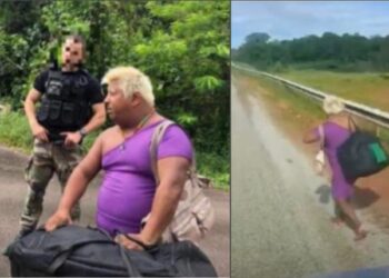 Internacional: Patixa é vista atravessando a fronteira brasileira a caminho da Guiana Francesa