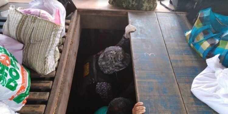 Mais de 200 quilos de pescado ilegal são apreendidos em barco no interior do Amazonas