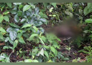 VÍDEO: Após tentar estuprar mulher, homem é morto pelo ‘Tribunal do Crime’, na zona Norte de Manaus