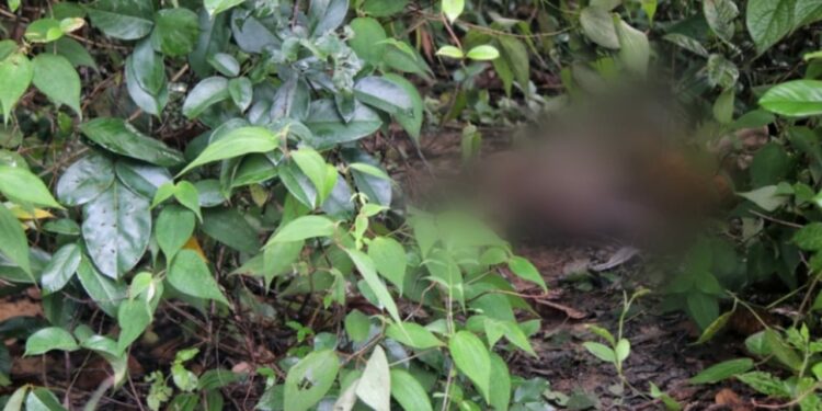 VÍDEO: Após tentar estuprar mulher, homem é morto pelo ‘Tribunal do Crime’, na zona Norte de Manaus