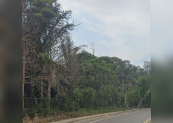 Mulher é obrigada a descer de ônibus e em seguida é estuprada em área de mata, na Ponta Negra