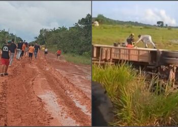 Após ônibus capotar na BR-319, passageiros seguem viagem a pé por três dias para chegar em Manaus