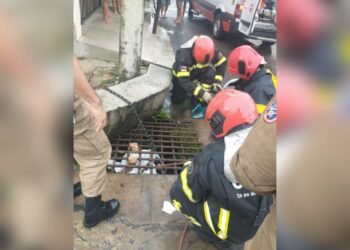Bombeiros resgatam homem preso dentro de bueiro, na Cidade Nova