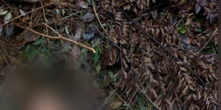Homem é encontrado ‘à beira da morte’ no ramal do Brasileirinho