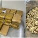 Encomenda do tráfico: castanha com maconha é apreendida em aeroporto de Manaus