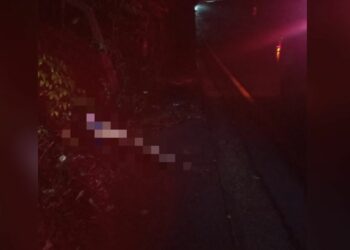 Babá é encontrada morta com marcas de tiro em mata na Ponta Negra