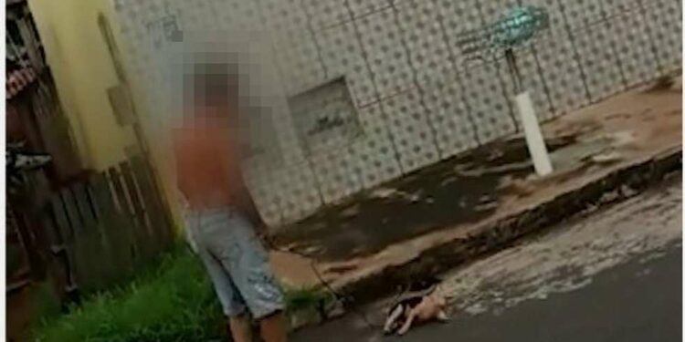 Homem é preso após espancar e arrastar cachorro pela coleira em via pública