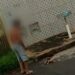 Homem é preso após espancar e arrastar cachorro pela coleira em via pública