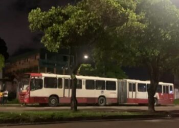 Gestante entra em trabalho de parto durante assalto na linha 356 em Manaus