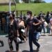 46 mil candidatos disputam as vagas no concurso dos Bombeiros em Manaus: ‘estudando há dois anos’