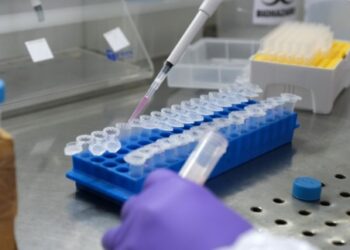 Reino Unido investiga ‘Deltacron’ nova variante da covid que combina delta e ômicron