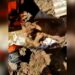 Gatinho é resgatado com vida após passar dias soterrado em Petrópolis; assista o momento do resgate
