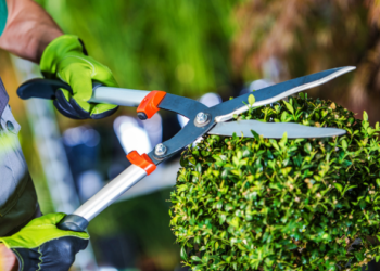 Sine Am oferece 55 vagas de emprego em diferentes áreas de atuação; Confira