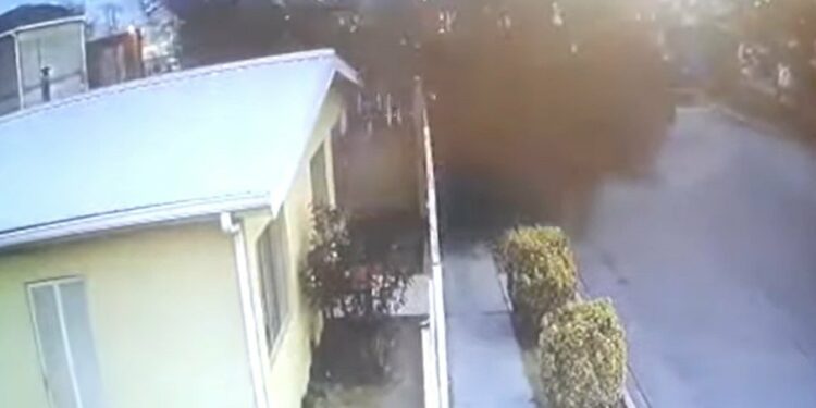 VÍDEO: Centenas de pássaros caem misteriosamente mortos em cima de casas no México
