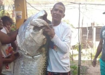 Pescador fisga pirapema de 100 kg e foto comprova o feito: “duas horas pra tirar da água”