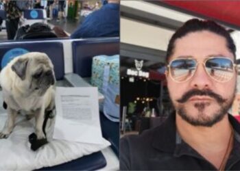 Advogados amazonenses ganham destaque no cenário nacional