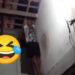 VÍDEO: Ladrão fica pendurado pela cabeça em telhado ao tentar invadir casa