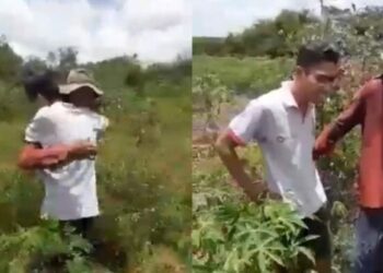 Filho vai ao campo avisar o pai que passou para Medicina e vídeo viraliza na internet; Assista