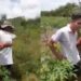 Filho vai ao campo avisar o pai que passou para Medicina e vídeo viraliza na internet; Assista