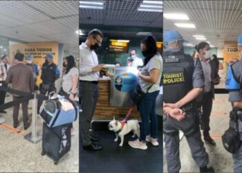 Gol tenta descumprir ordem judicial para cão viajar com sua tutora e advogado da causa pede reforço da polícia