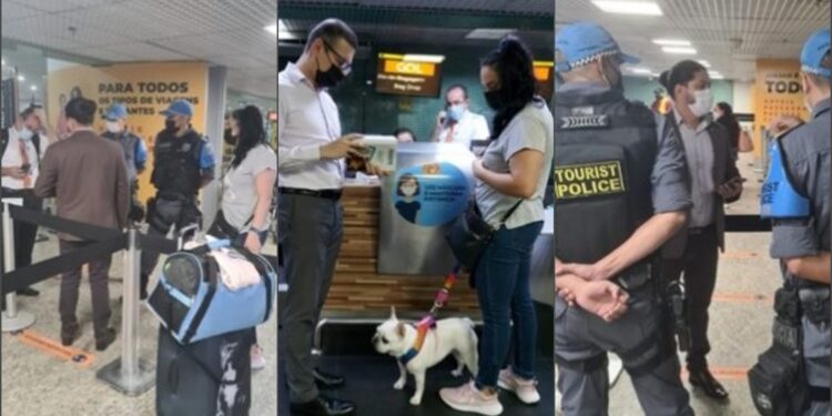 Gol tenta descumprir ordem judicial para cão viajar com sua tutora e advogado da causa pede reforço da polícia