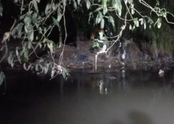 Corpo de homem é encontrado sendo devorado por jacaré em igarapé no conjunto Tocantins