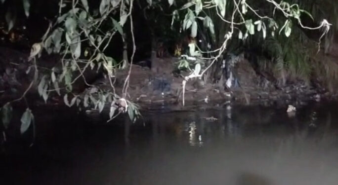 Corpo de homem é encontrado sendo devorado por jacaré em igarapé no conjunto Tocantins
