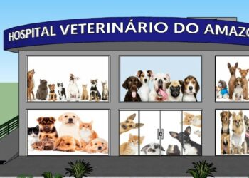 Causa animal: Manaus ganhará o primeiro hospital público veterinário do Amazonas