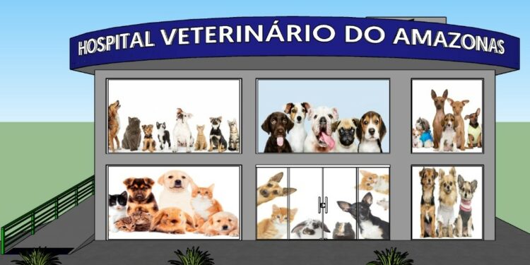Causa animal: Manaus ganhará o primeiro hospital público veterinário do Amazonas